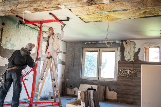Best Cellulose Insulation in Jefferson, MD